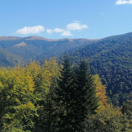 The Rock Apartment Sinaia Exterior foto