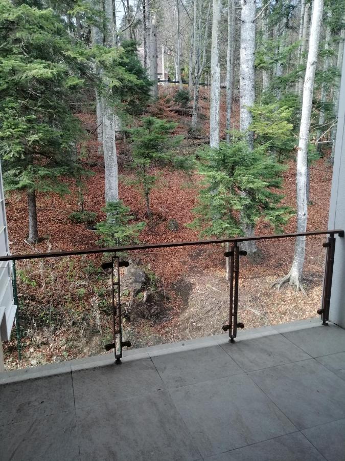 The Rock Apartment Sinaia Exterior foto